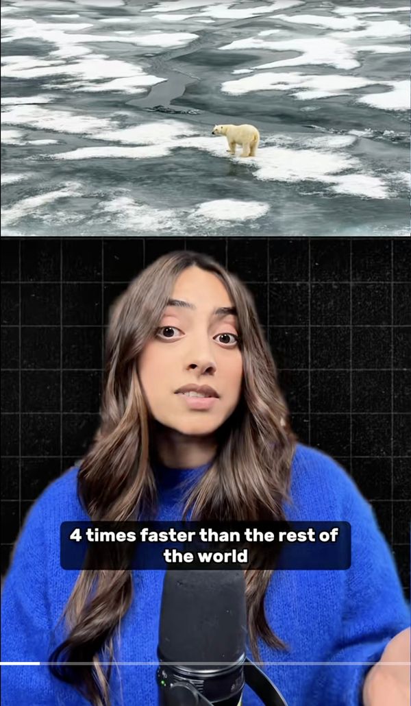 Arctic Comment Drive Influencer Campaign